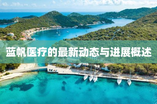 蓝帆医疗的最新动态与进展概述