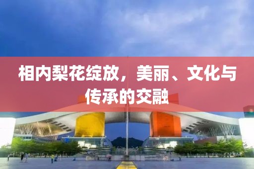 相内梨花绽放，美丽、文化与传承的交融
