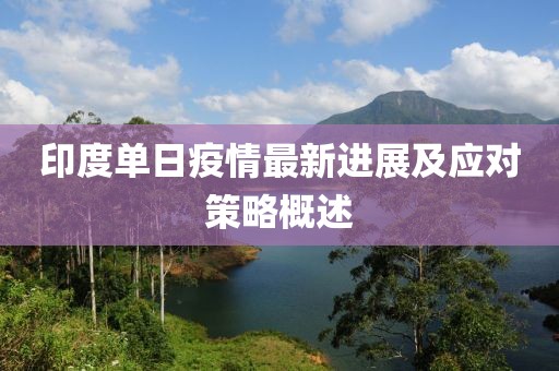 印度单日疫情最新进展及应对策略概述
