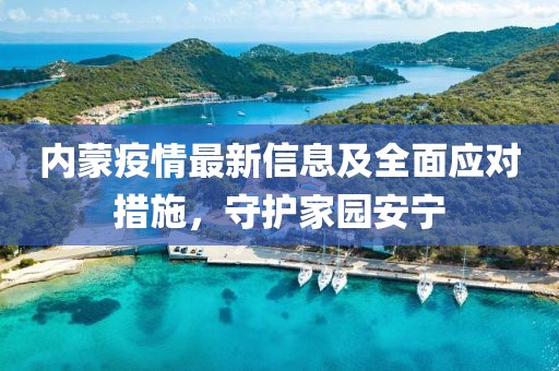 内蒙疫情最新信息及全面应对措施，守护家园安宁