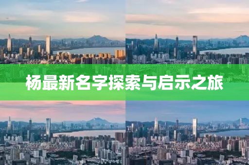 杨最新名字探索与启示之旅