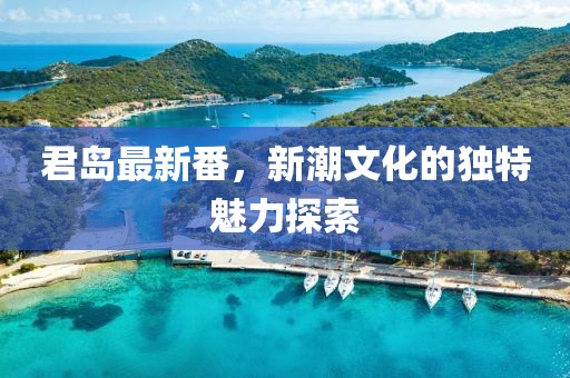 君岛最新番，新潮文化的独特魅力探索