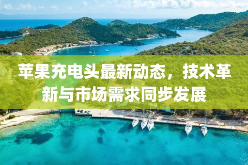 2025年4月 第231页
