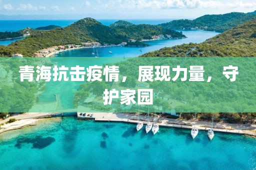 青海抗击疫情，展现力量，守护家园
