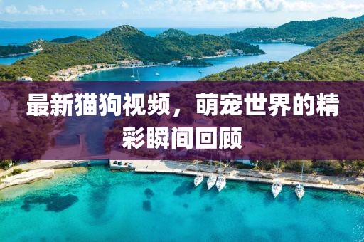 2025年4月 第229页
