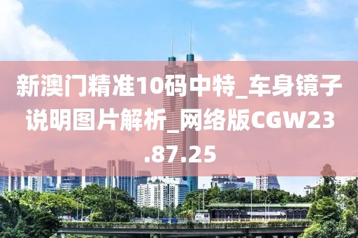 新澳门精准10码中特_车身镜子说明图片解析_网络版CGW23.87.25