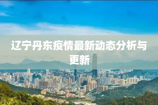 辽宁丹东疫情最新动态分析与更新