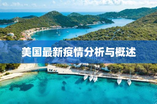 美国最新疫情分析与概述