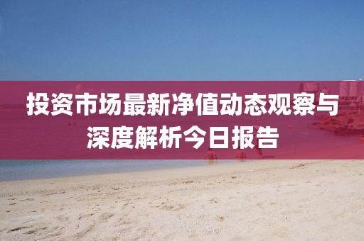 投资市场最新净值动态观察与深度解析今日报告