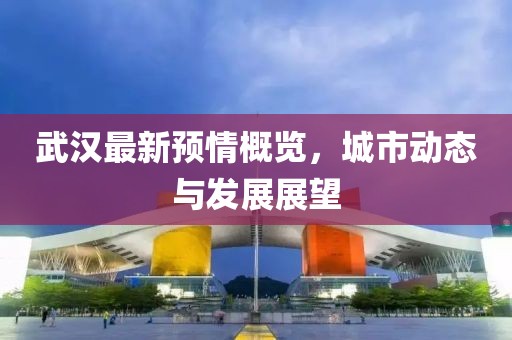 武汉最新预情概览，城市动态与发展展望