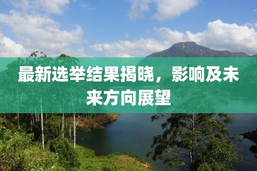 最新选举结果揭晓，影响及未来方向展望