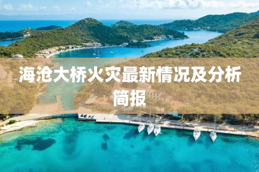 海沧大桥火灾最新情况及分析简报