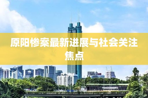 原阳惨案最新进展与社会关注焦点