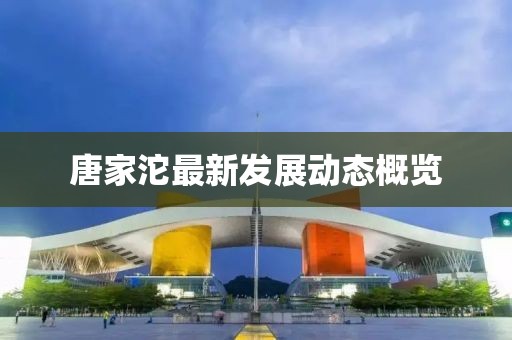 唐家沱最新发展动态概览