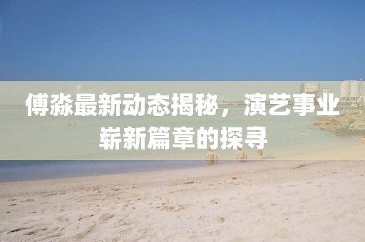 傅淼最新动态揭秘，演艺事业崭新篇章的探寻