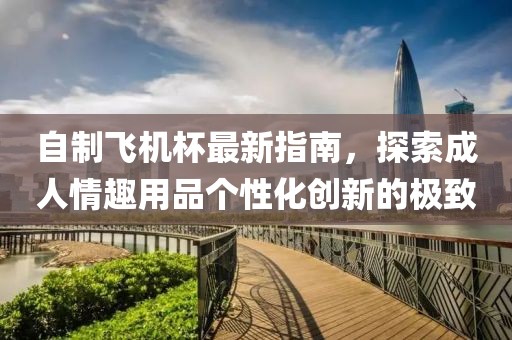 自制飞机杯最新指南，探索成人情趣用品个性化创新的极致