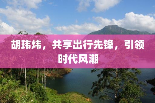 胡玮炜，共享出行先锋，引领时代风潮