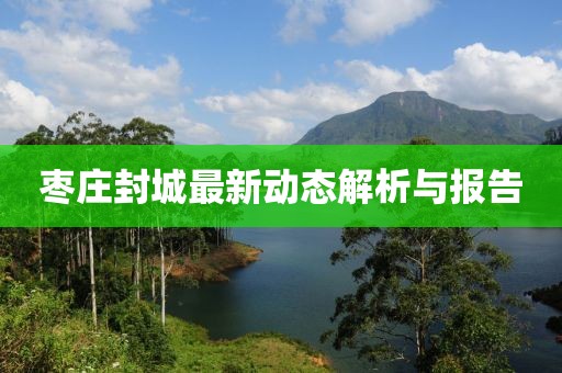 枣庄封城最新动态解析与报告