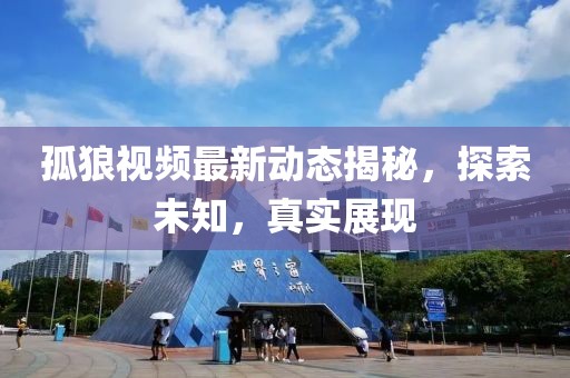 孤狼视频最新动态揭秘，探索未知，真实展现