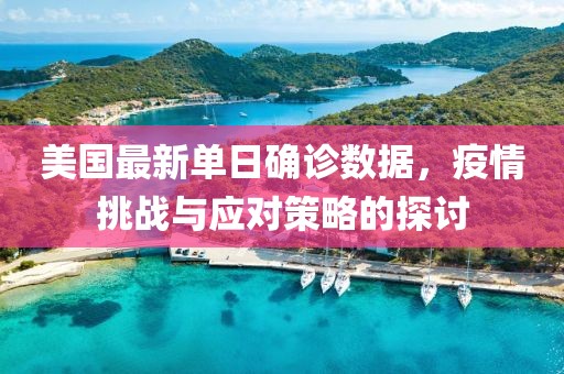 美国最新单日确诊数据，疫情挑战与应对策略的探讨