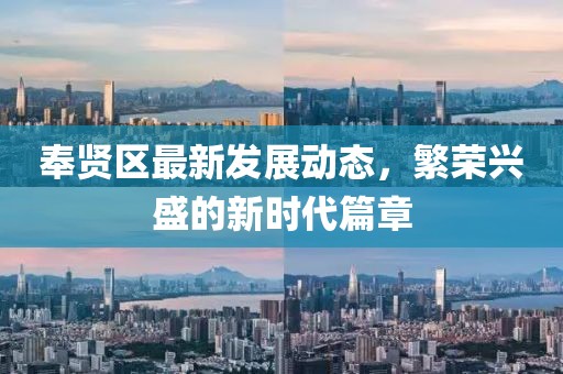 奉贤区最新发展动态，繁荣兴盛的新时代篇章