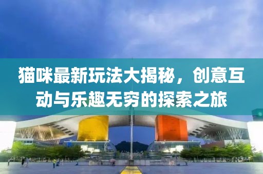 猫咪最新玩法大揭秘，创意互动与乐趣无穷的探索之旅