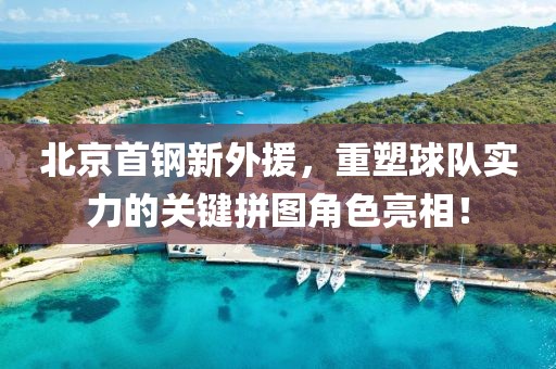 北京首钢新外援，重塑球队实力的关键拼图角色亮相！