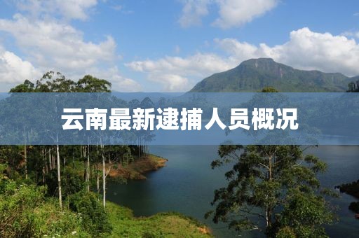 云南最新逮捕人员概况