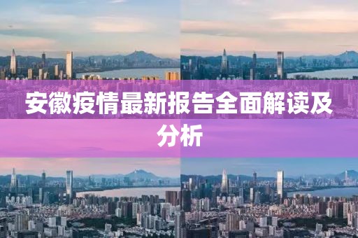 安徽疫情最新报告全面解读及分析
