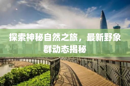 探索神秘自然之旅，最新野象群动态揭秘