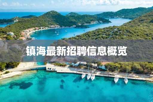 镇海最新招聘信息概览