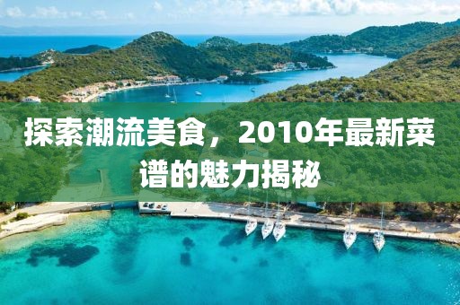 探索潮流美食，2010年最新菜谱的魅力揭秘
