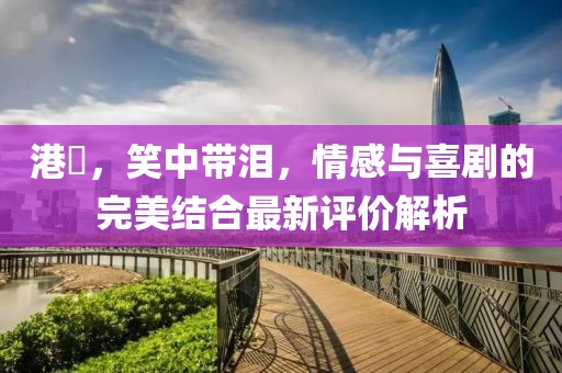 港囧，笑中带泪，情感与喜剧的完美结合最新评价解析