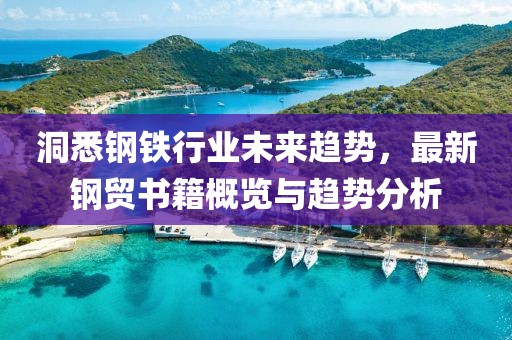 洞悉钢铁行业未来趋势，最新钢贸书籍概览与趋势分析