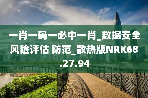 一肖一码一必中一肖_数据安全风险评估 防范_散热版NRK68.27.94