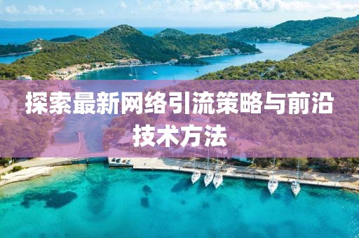 探索最新网络引流策略与前沿技术方法