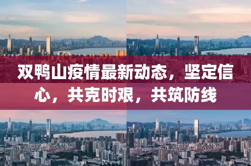 双鸭山疫情最新动态，坚定信心，共克时艰，共筑防线