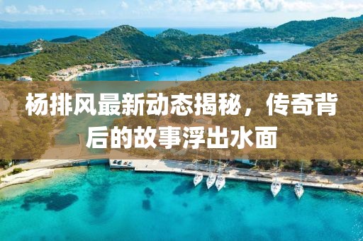 杨排风最新动态揭秘，传奇背后的故事浮出水面