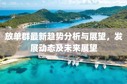 放单群最新趋势分析与展望，发展动态及未来展望