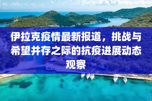 伊拉克疫情最新报道，挑战与希望并存之际的抗疫进展动态观察