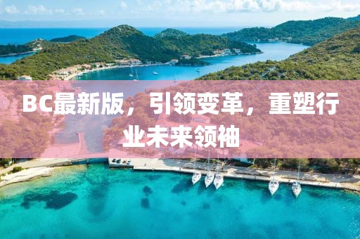 BC最新版，引领变革，重塑行业未来领袖