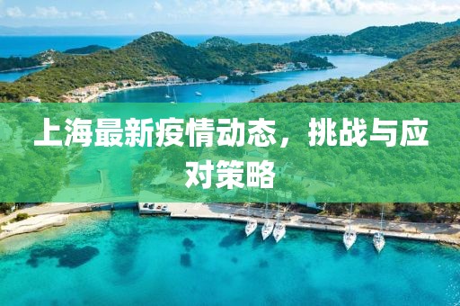 上海最新疫情动态，挑战与应对策略