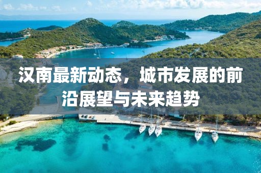 汉南最新动态，城市发展的前沿展望与未来趋势