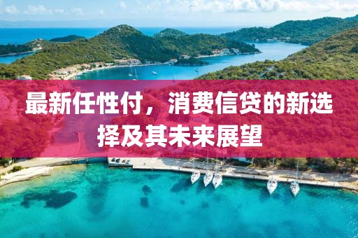最新任性付，消费信贷的新选择及其未来展望