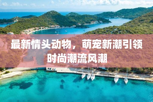 最新情头动物，萌宠新潮引领时尚潮流风潮