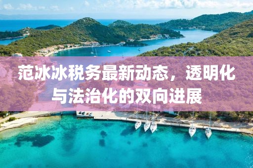 范冰冰税务最新动态，透明化与法治化的双向进展