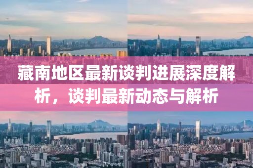 藏南地区最新谈判进展深度解析，谈判最新动态与解析