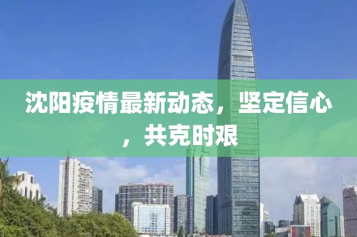 沈阳疫情最新动态，坚定信心，共克时艰