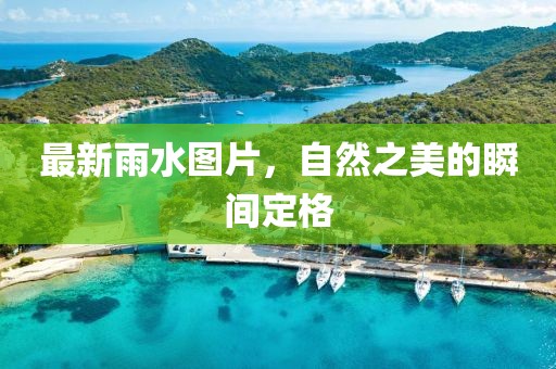 最新雨水图片，自然之美的瞬间定格