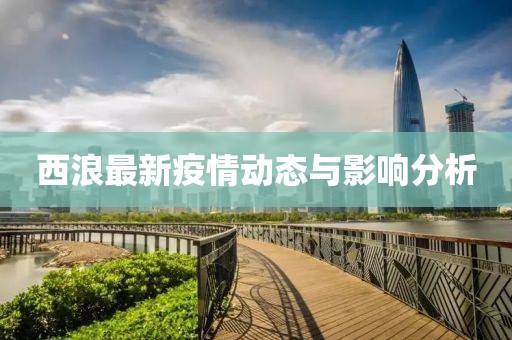西浪最新疫情动态与影响分析
